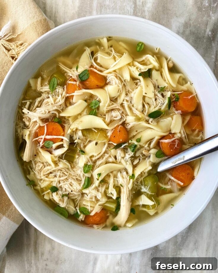 overhead shot of chicken noodle soup in a bowl with a silver spoon