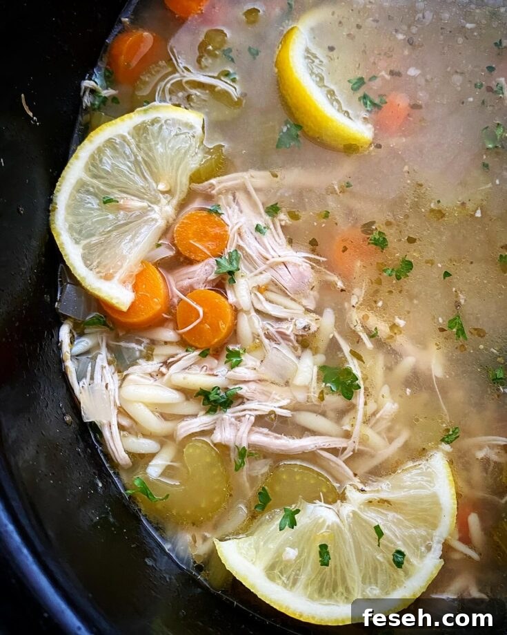 overhead shot of lemon Chicken Orzo Soup in a black slow cooker garnished with a lemon slice