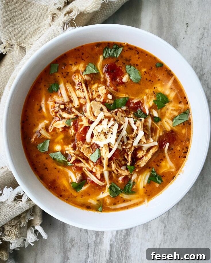overhead shot of Caprese chicken stew in a white bowl garnished with fresh basil