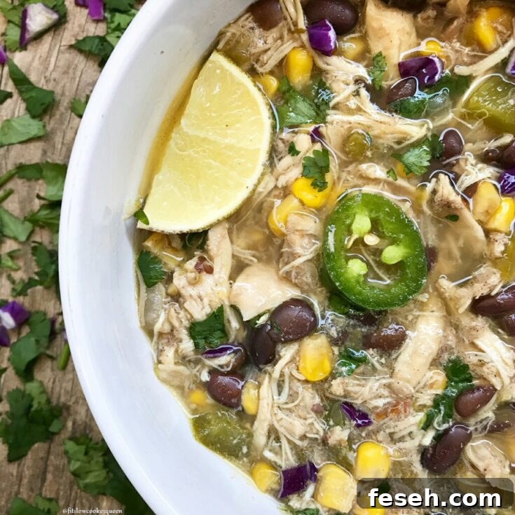Image for Fiesta Chicken Stew