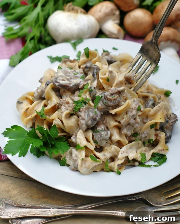 One pot stroganoff with ground beef