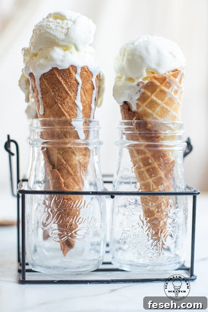 two ice cream cones with a scoop of coconut sorbet on top