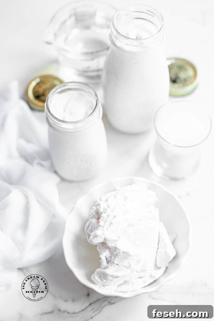 top down view of ingredients in coconut sorbet