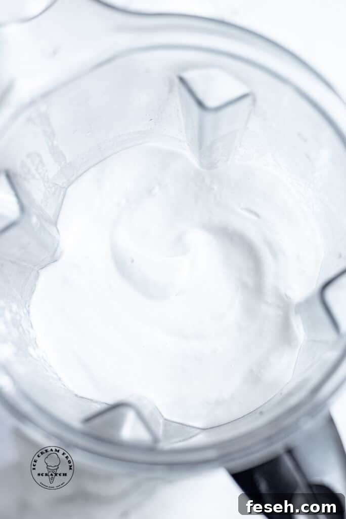 ingredients in coconut sorbet in a blender jar