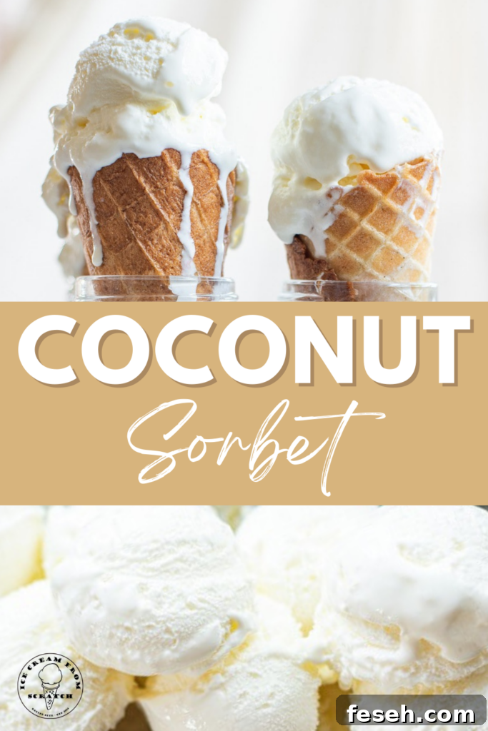 pinterest pin collage for coconut sorbet