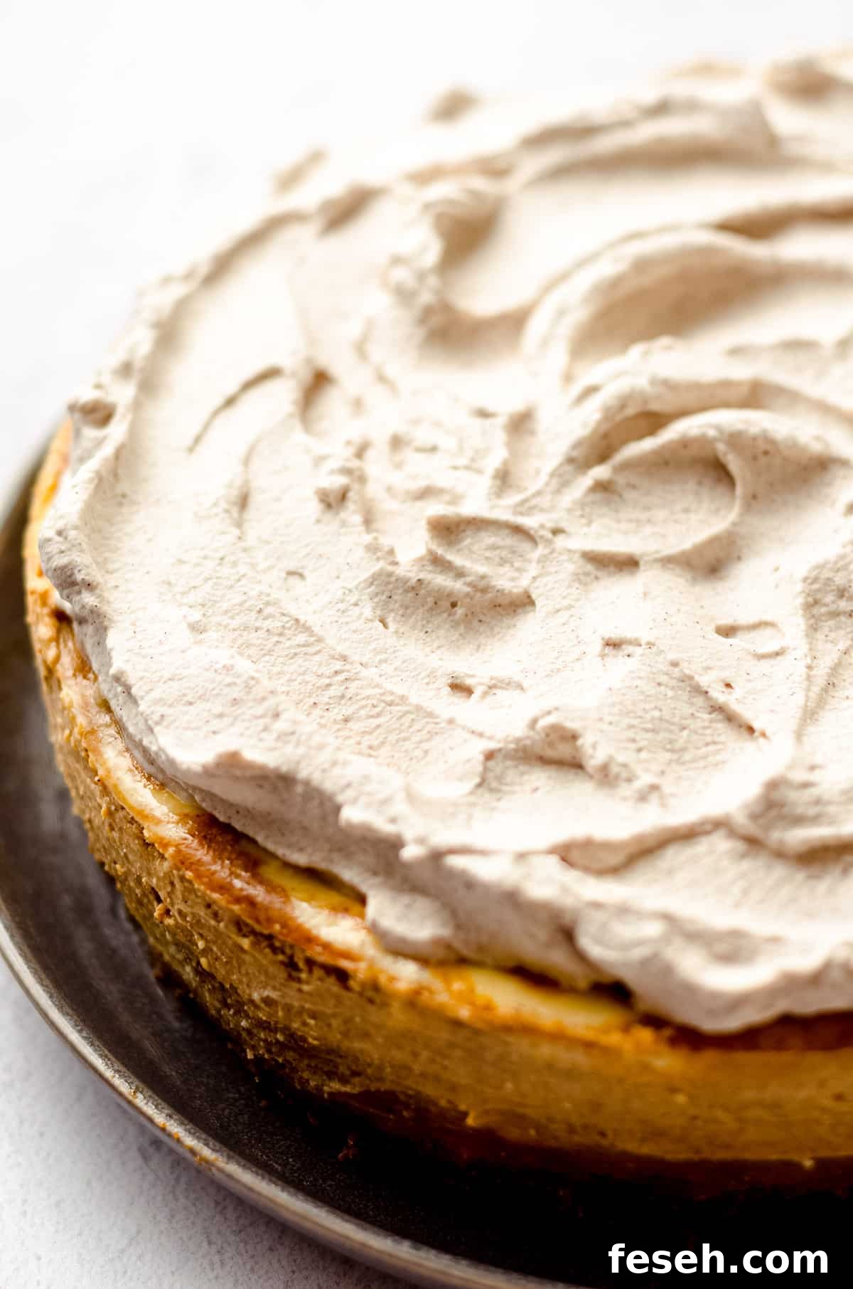 pumpkin cheesecake with pumpkin spice whipped cream on top