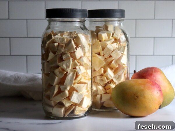 Freeze Dried Mango