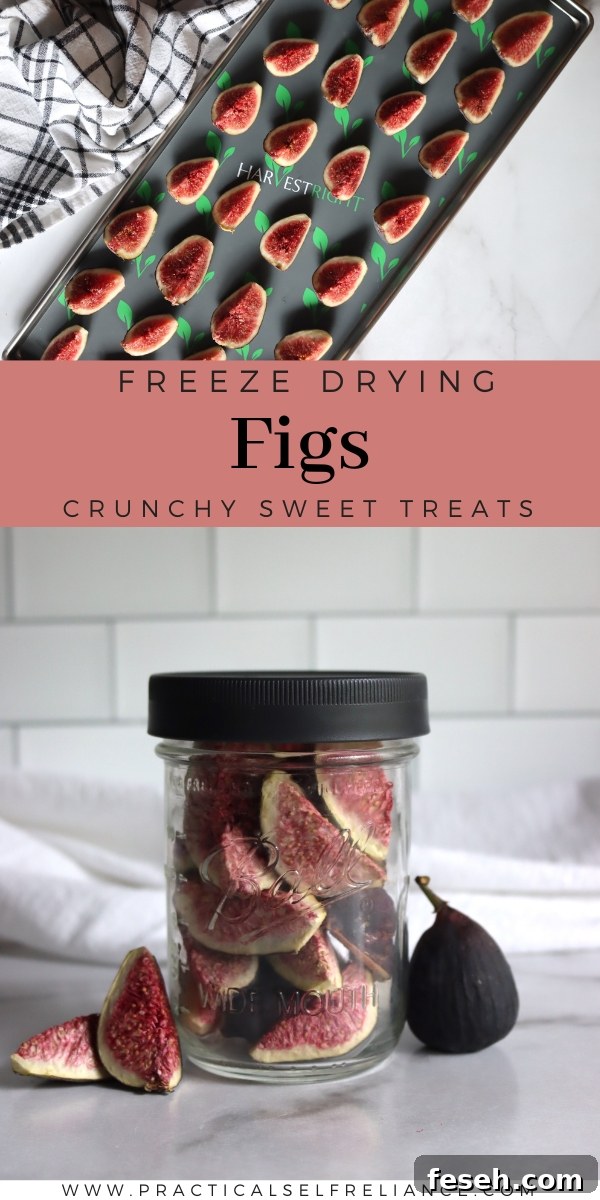 Freeze Drying Figs at Home