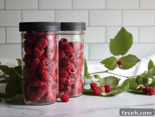 Freeze Dried Raspberries
