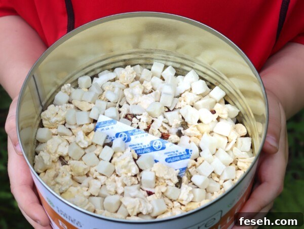 Freeze Dried Breakfast Skillet