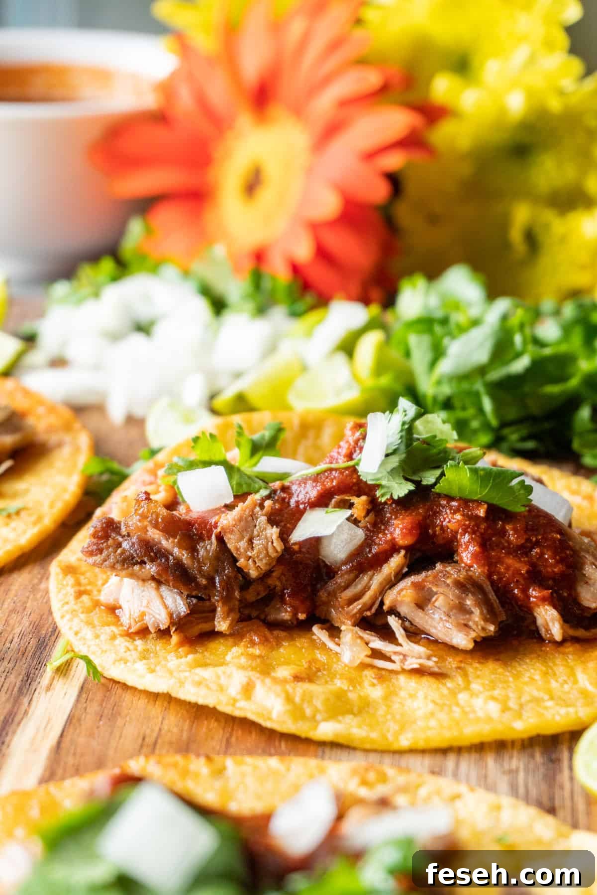 Carnita Taco Open faced