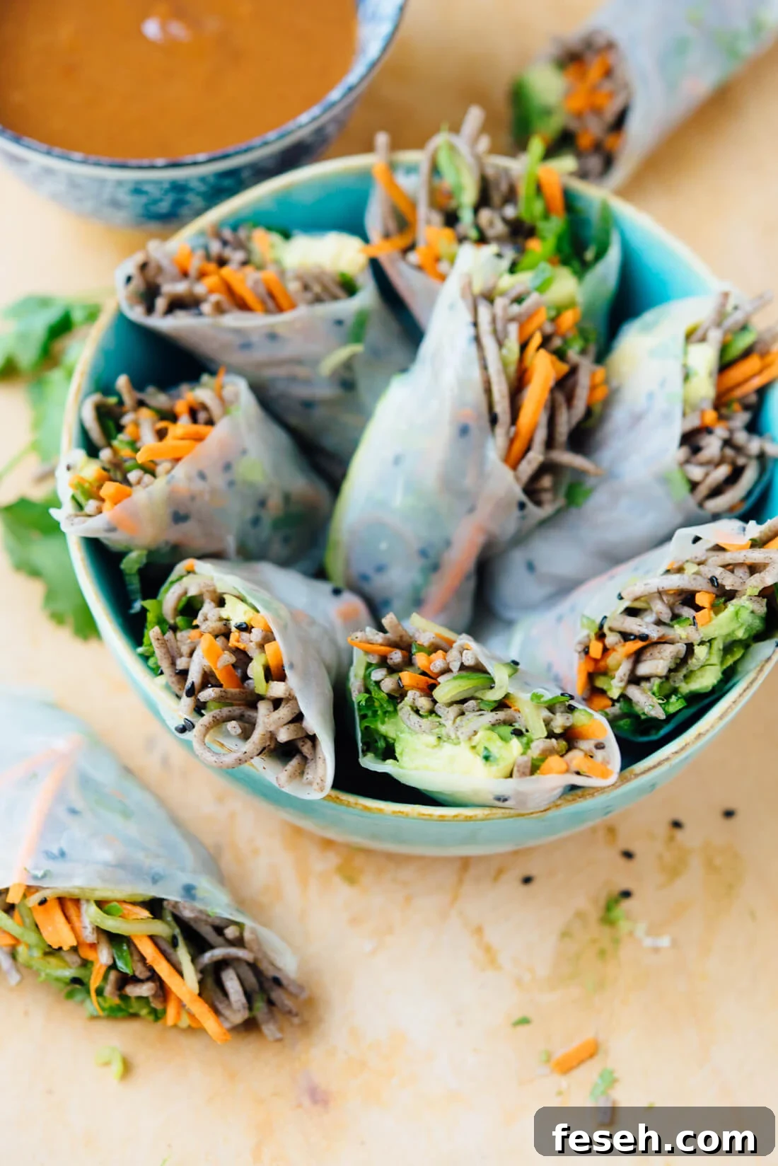Fresh Sesame Soba Spring Rolls with Peanut Dipping Sauce