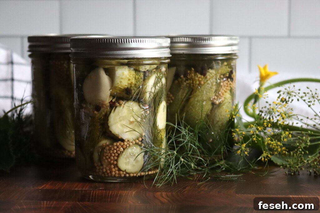 Dill Pickle Slices