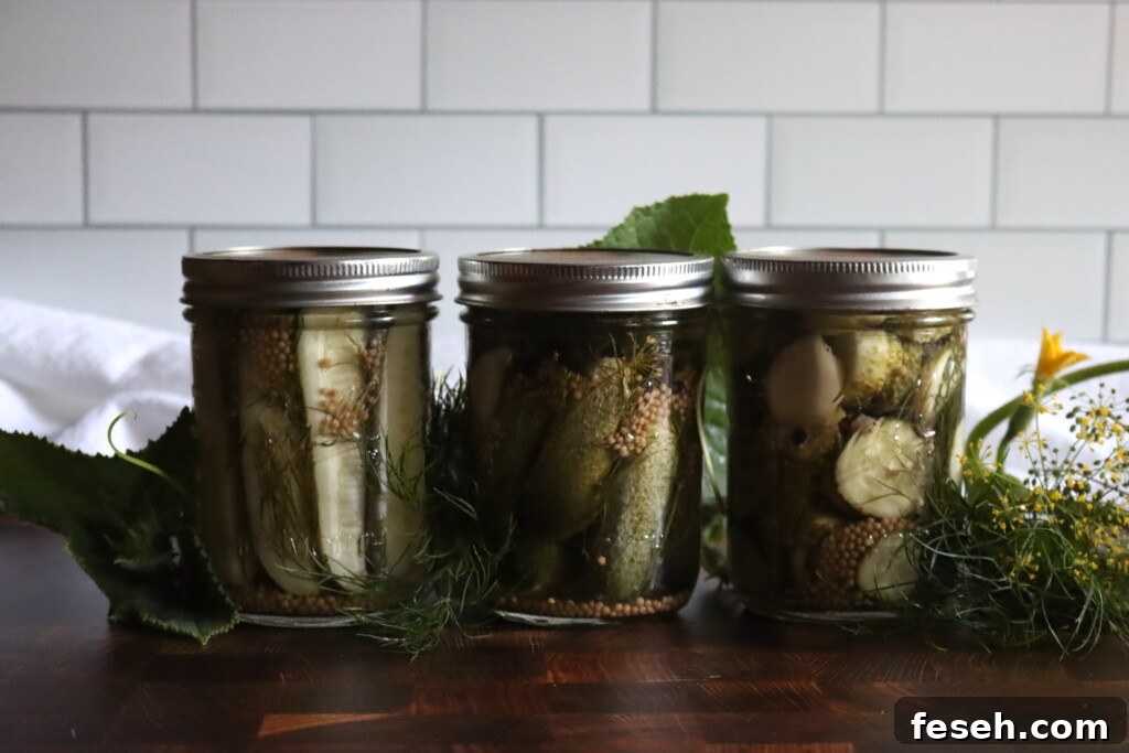 Dill Pickles