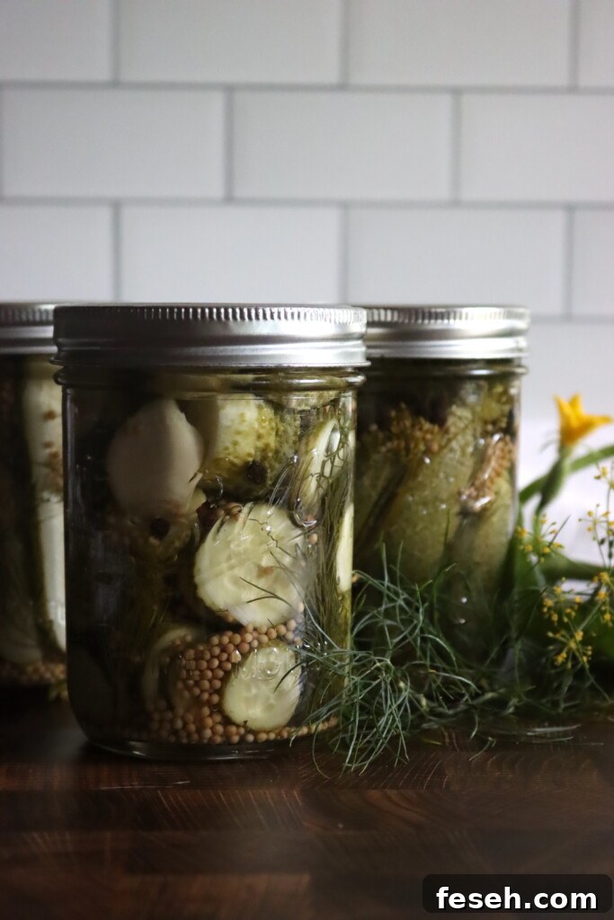 Dill Pickle Slices Recipe