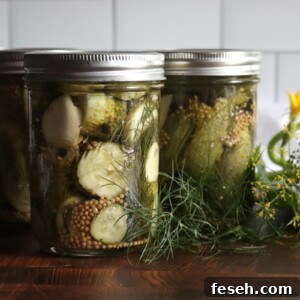 Dill Pickle Slices