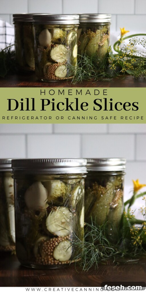 Dill Pickle Slices Recipe