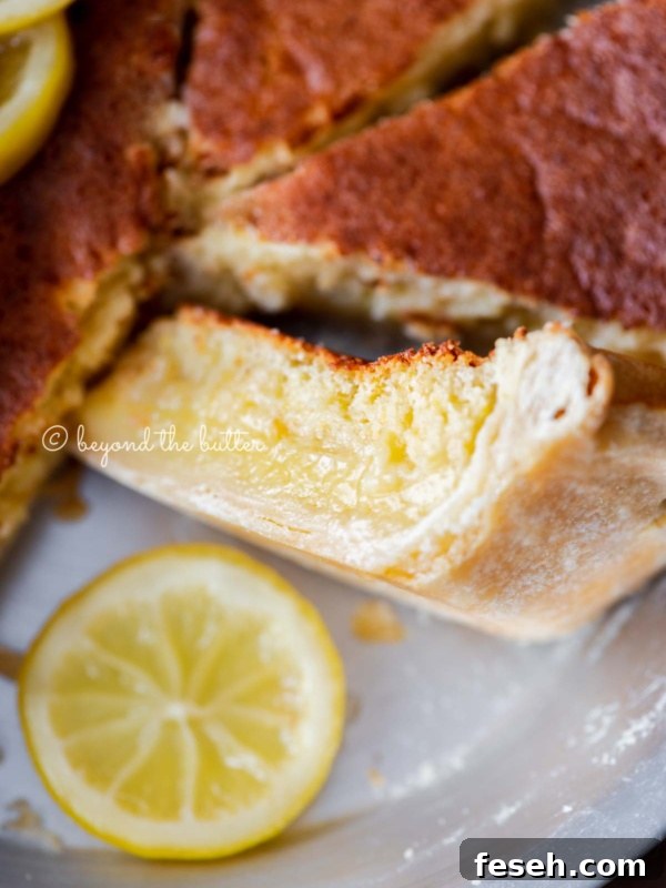 Close up of lemon sponge pie with one slice on its side paired with a slice of lemon below it.