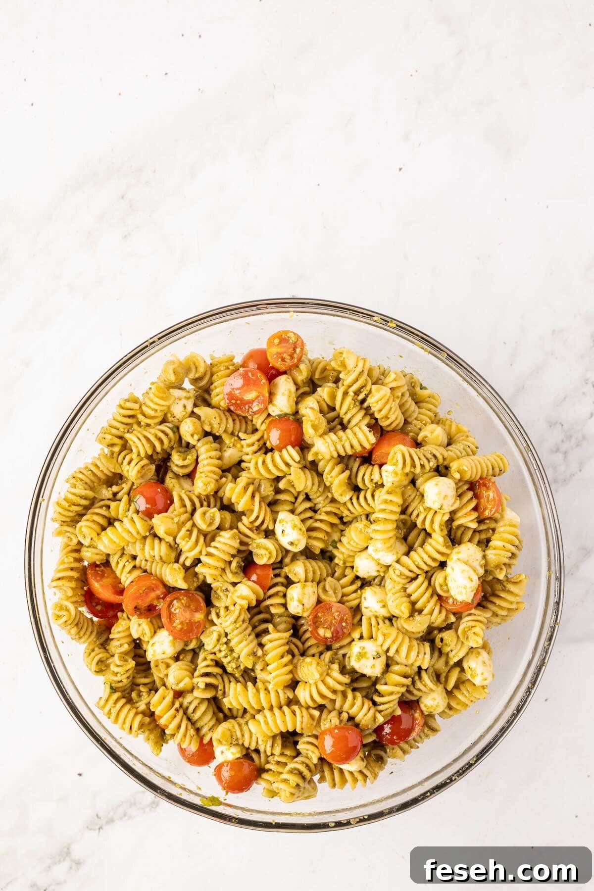Mixed rotini pasta salad with mozzarella and tomatoes.