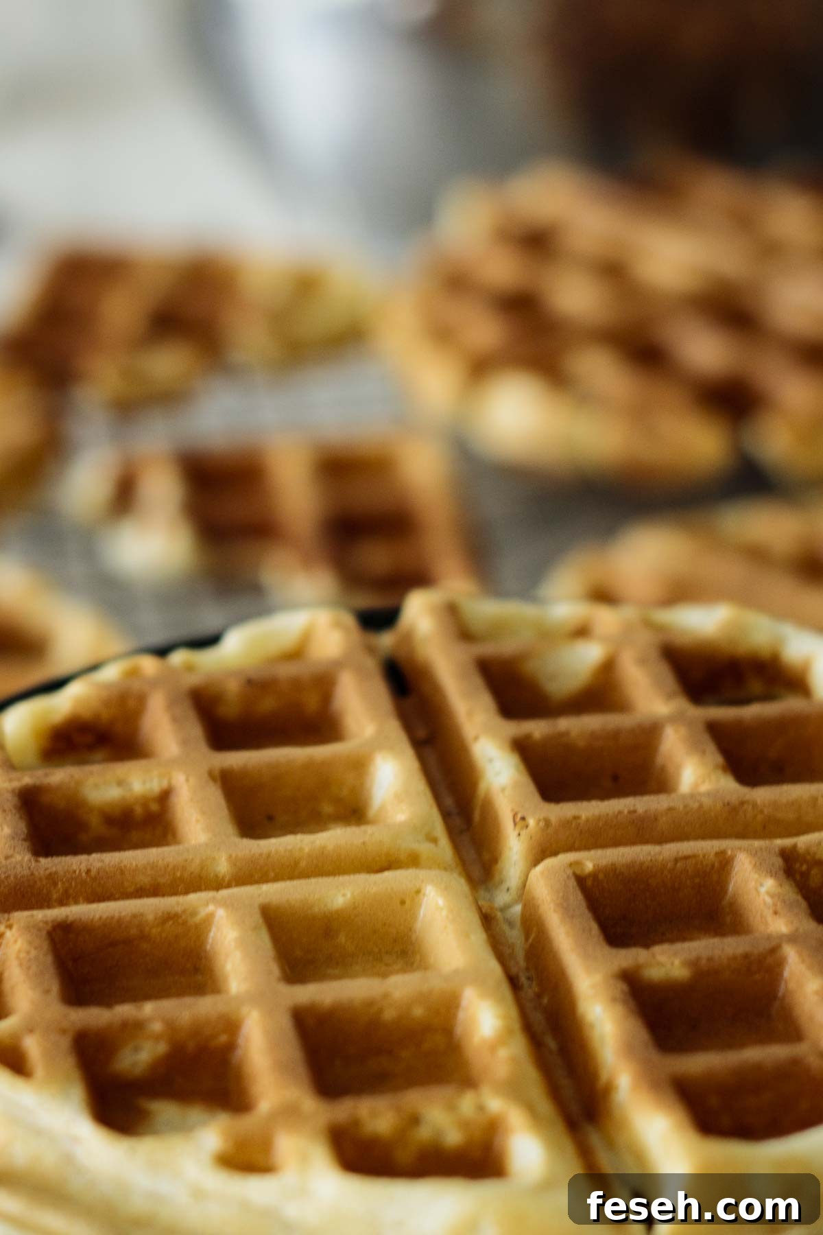 Disk ready in the waffle iron.