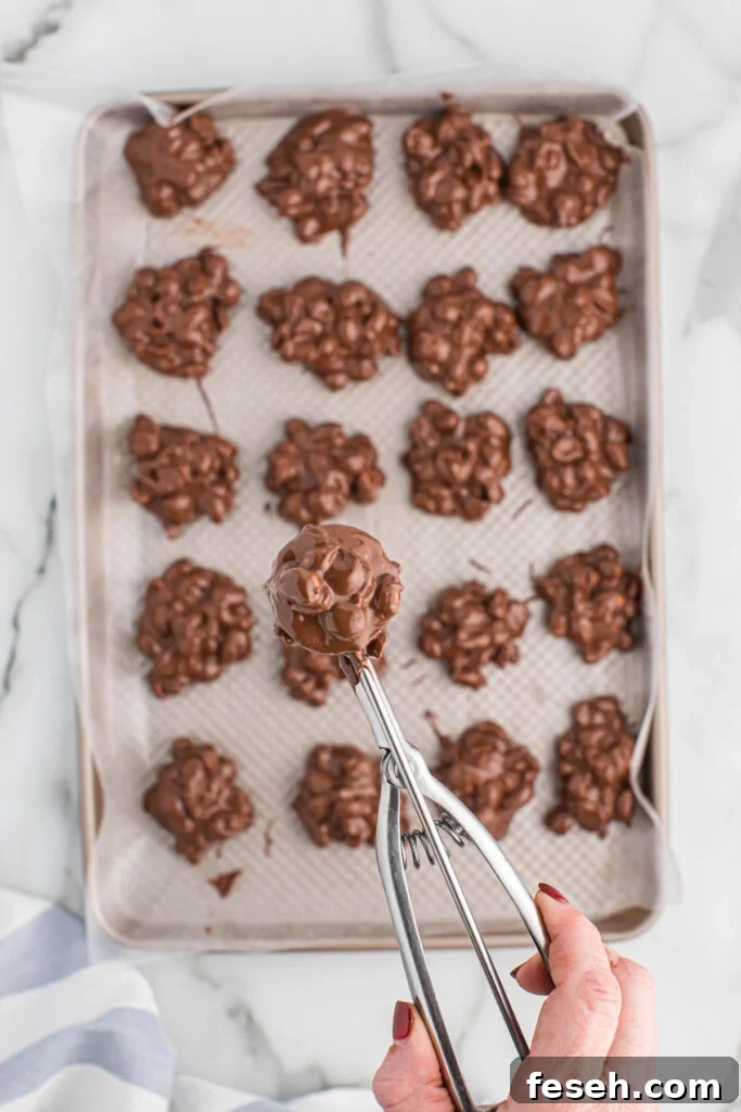 cookie scoop for scooping chocolate peanuts