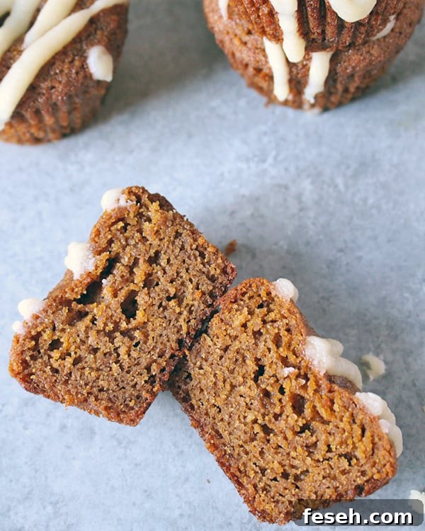 Paleo Gingerbread Muffins 