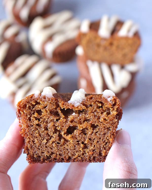 Paleo Gingerbread Muffins 
