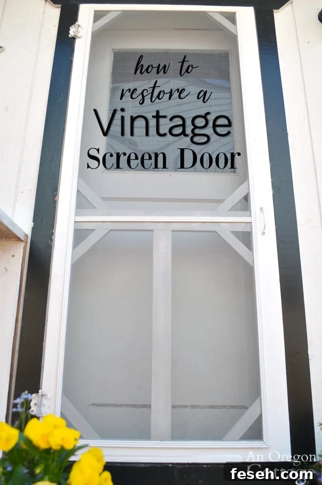 Restored vintage screen door