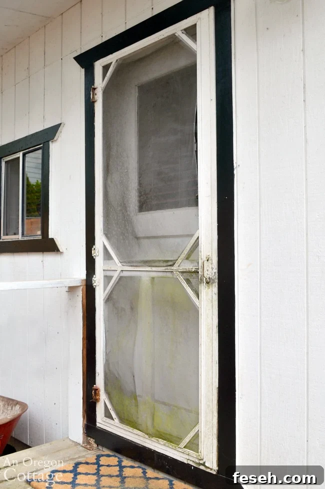 vintage screen door before