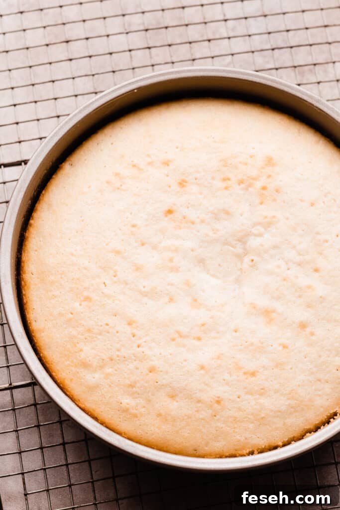 A vanilla cake layer, baked, in a cake pan.