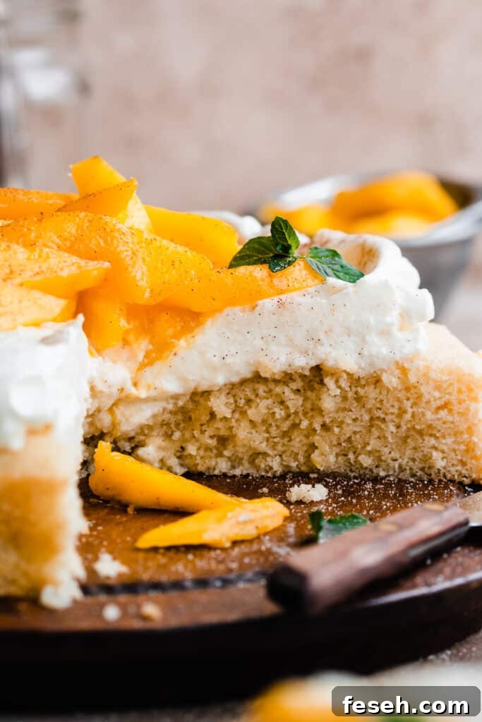 A close-up on a cross-section of the sliced mango cake.