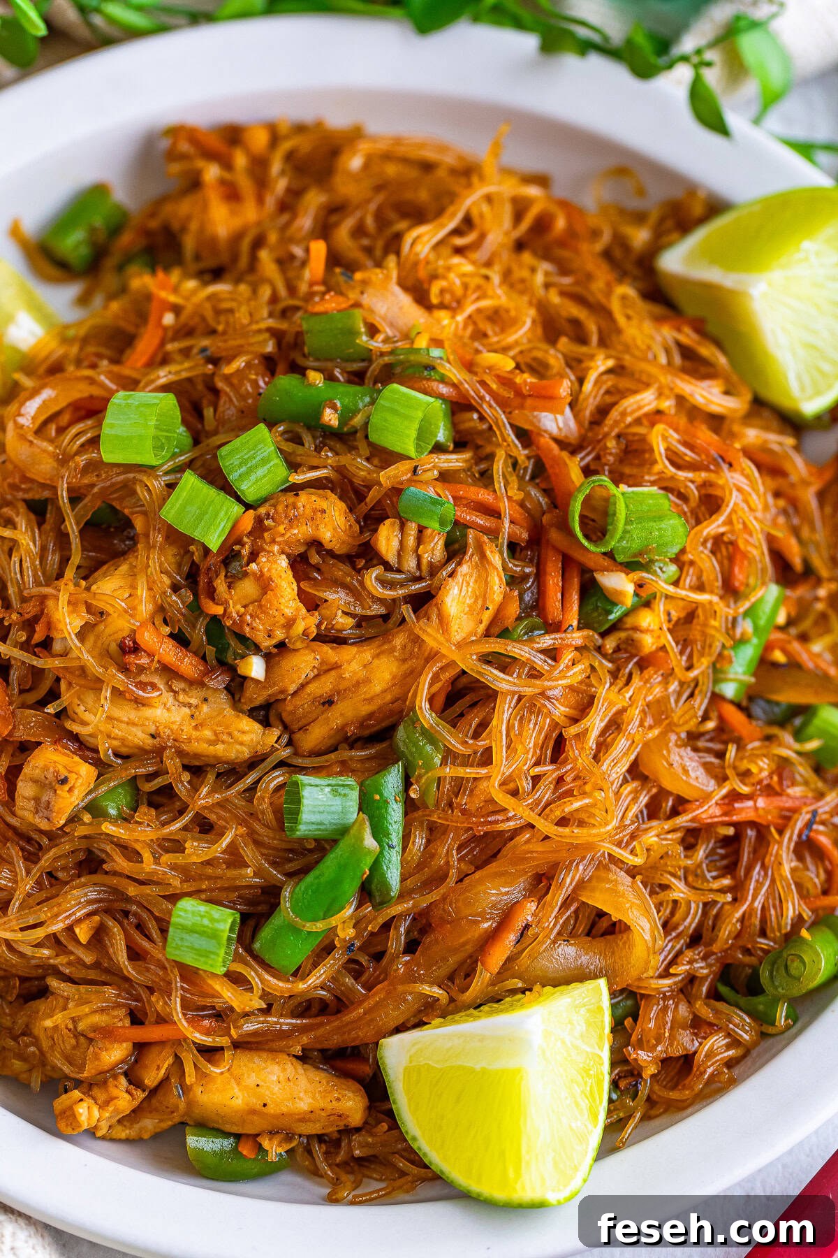 overhead image of pancit on a white plate