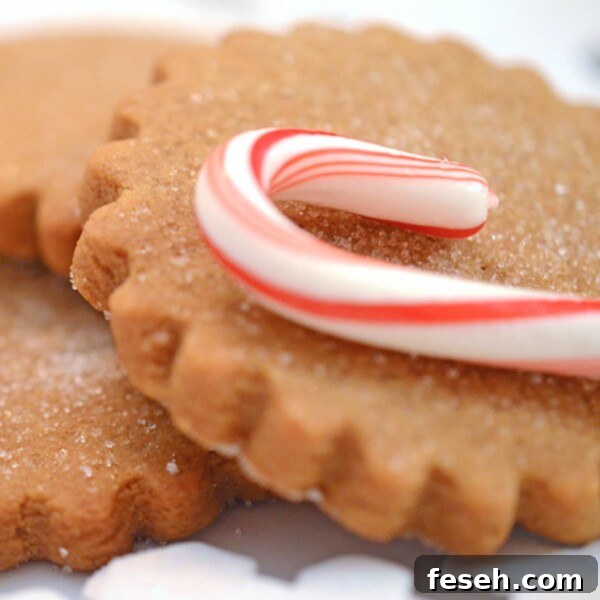 A Christmas cookie with a candy cane