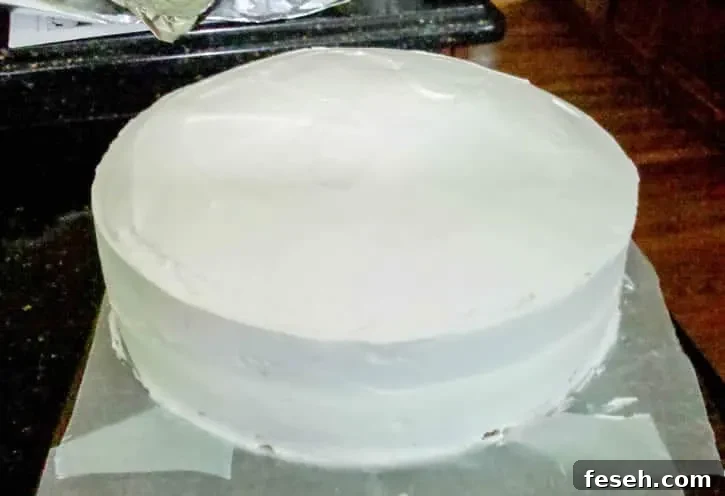 Flashback Friday The Kimochi Cake TOTAL-4