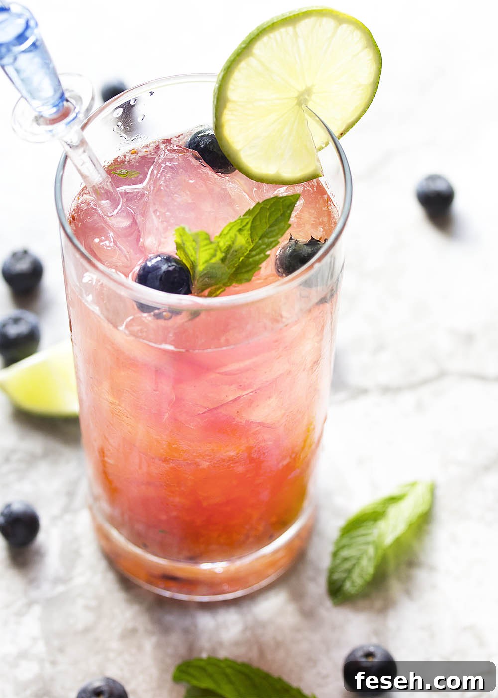 Fresh Blueberry Mojito - This blueberry mojito is full of fresh blueberry and mint flavor, and is an easy and refreshing summer drink perfect for sipping out of a straw. Great for cookouts or a warm evening on your deck!