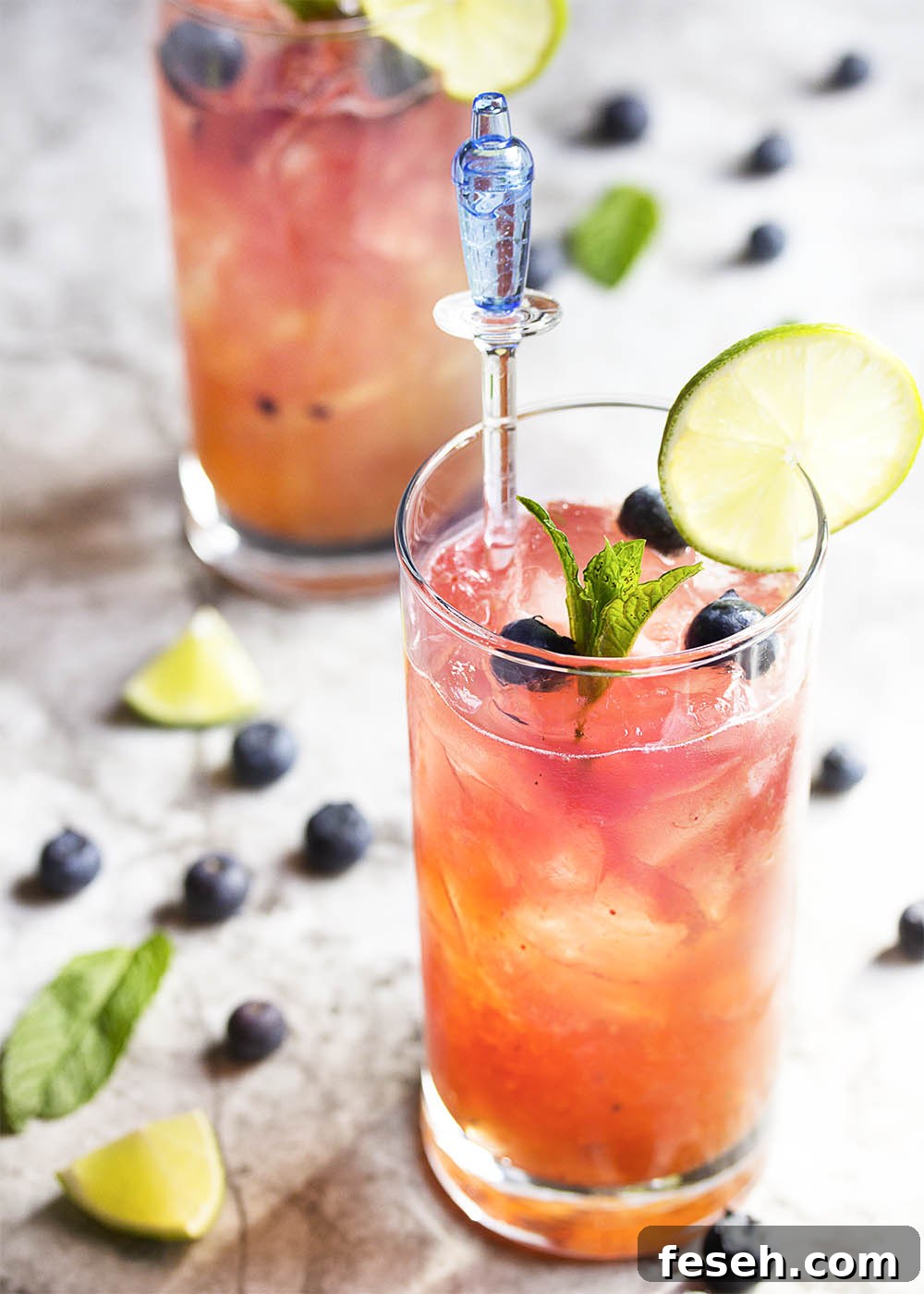 Fresh Blueberry Mojito - This blueberry mojito is full of fresh blueberry and mint flavor, and is an easy and refreshing summer drink perfect for sipping out of a straw. Great for cookouts or a warm evening on your deck!