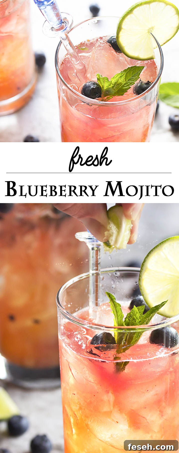 Fresh Blueberry Mojito - collage
