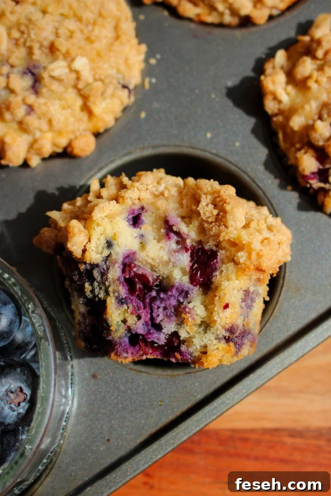 Blueberry Oatmeal Sour Cream Streusel Muffins