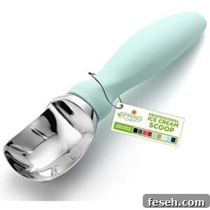 Ice Cream Scooper