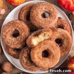 Plate of Apple Cider Doughnuts with a bite taken out of one
