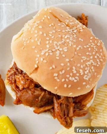 Pulled Pork Sandwich served with chips, coleslaw and a pickle wedge.