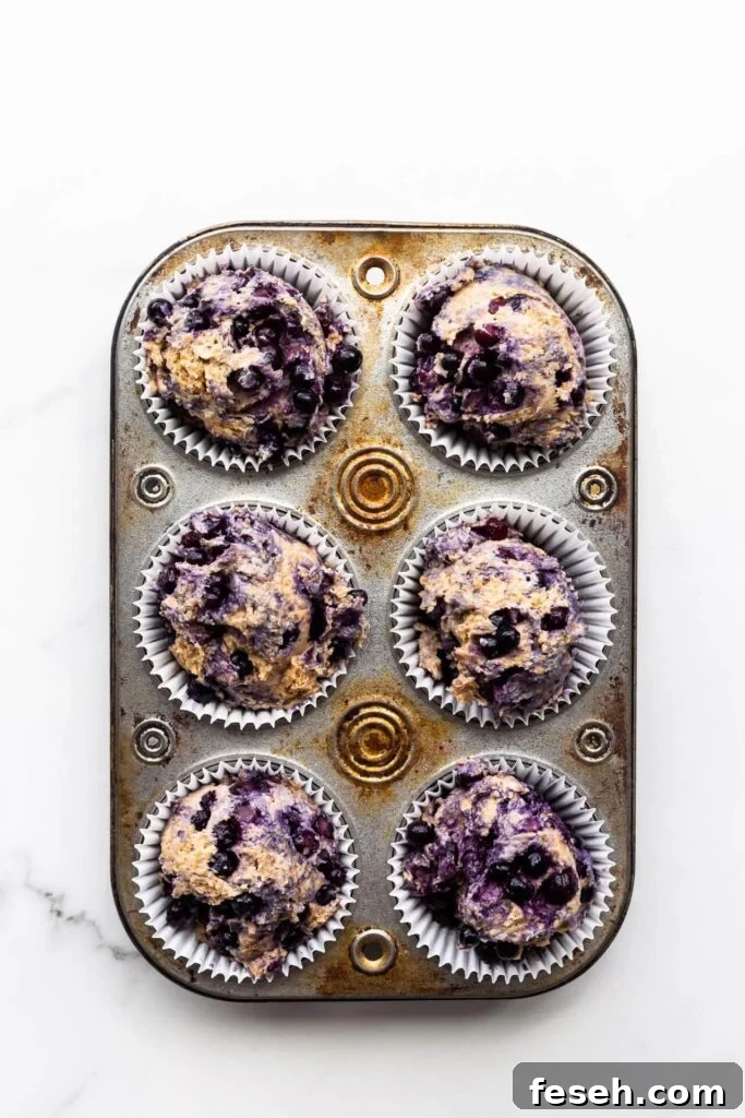 Blueberry bran muffins divided between paper liners in a vintage muffin pan