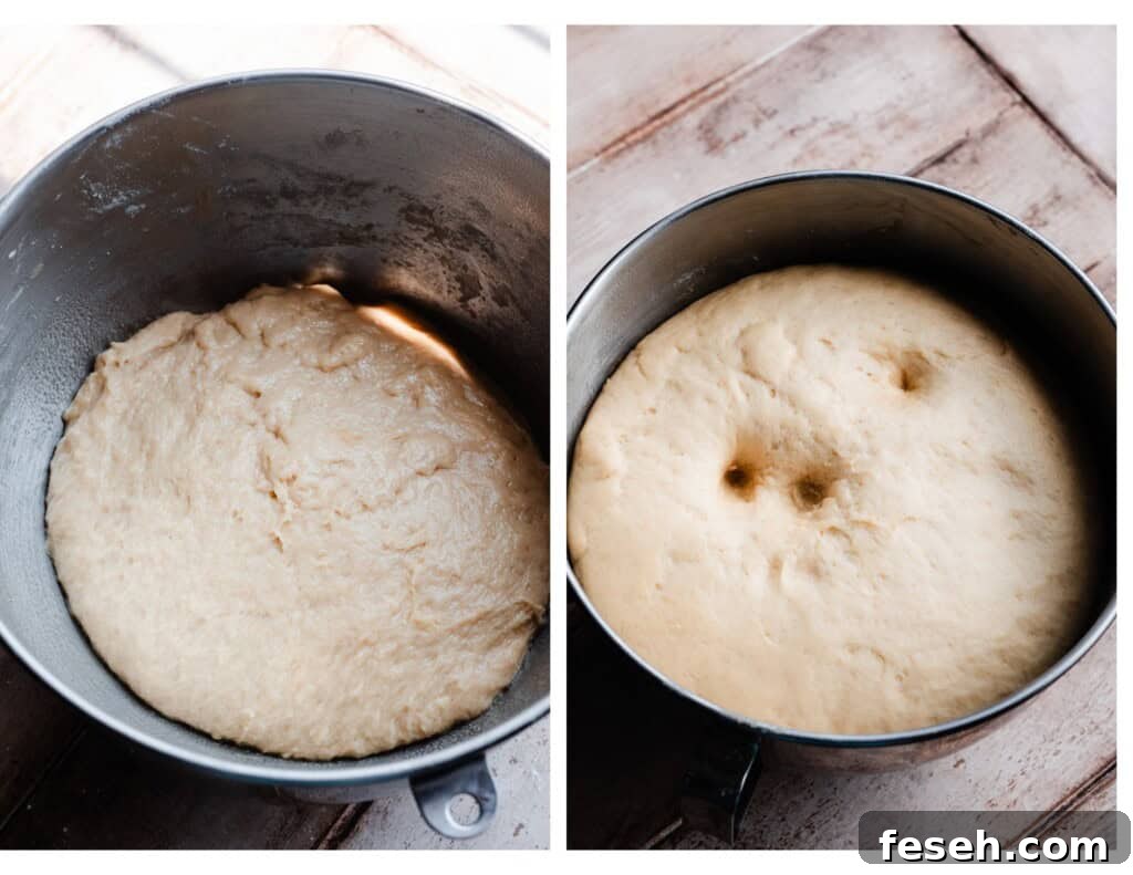 A photo of the dough pre-rise, and post-rise.