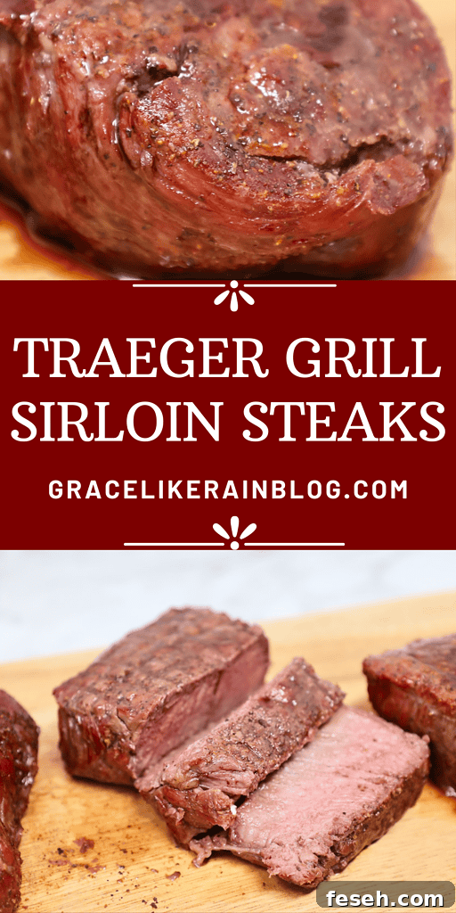 Traeger Grill Sirloin Steaks