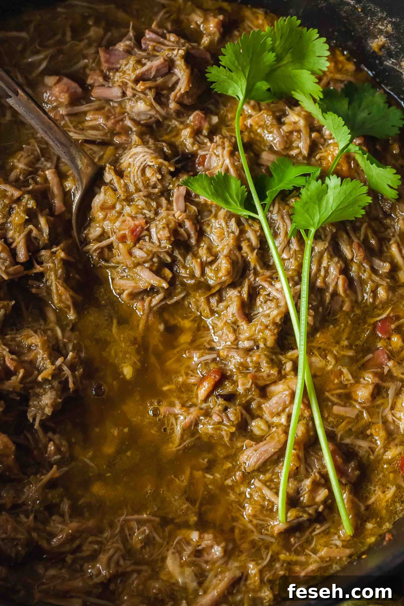 chile verde topped with fresh cilantro sprigs