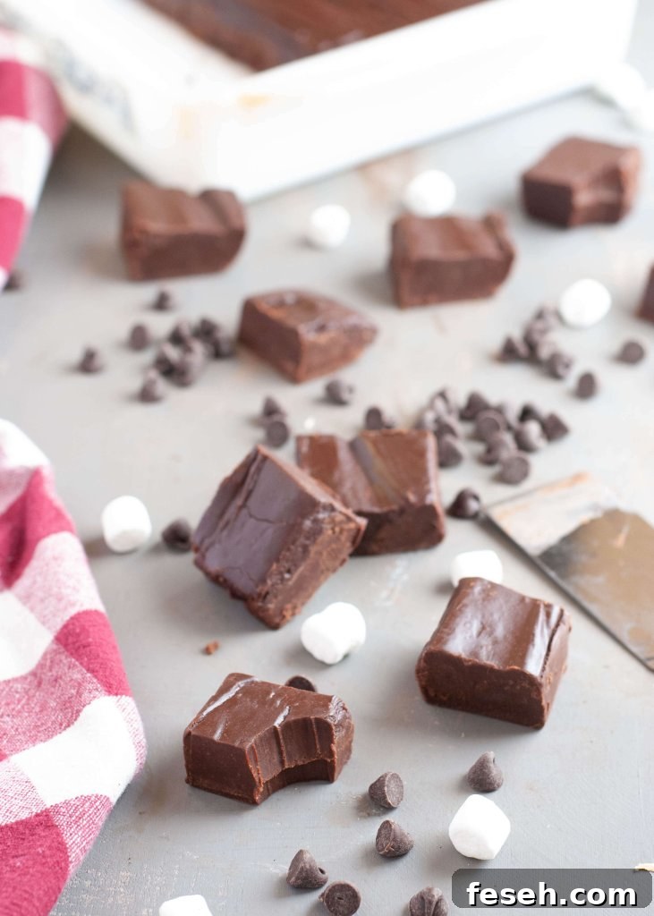 fudge-using-condensed-coconut-milk
