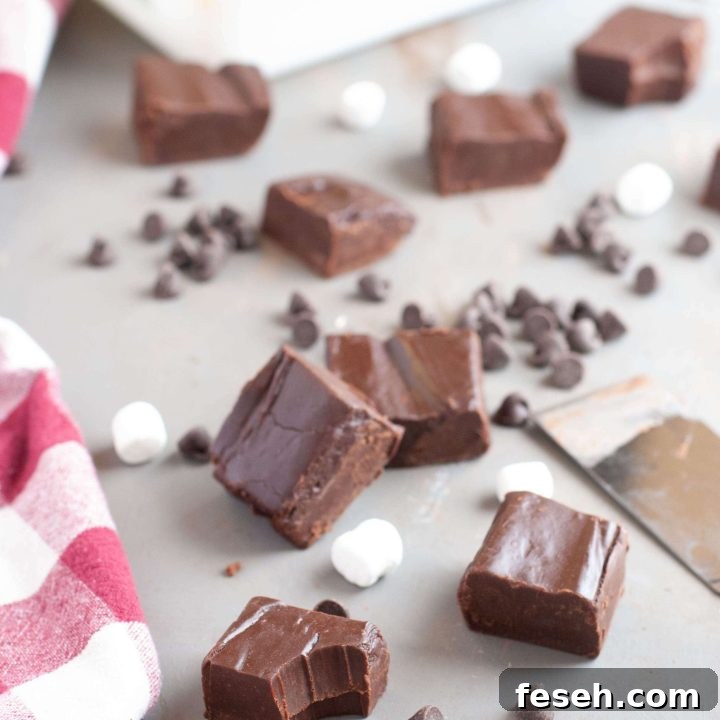 fudge-using-condensed-coconut-milk