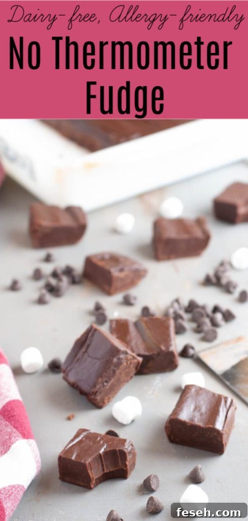 dairy-free-fudge-recipe-by-allergy-awesomeness