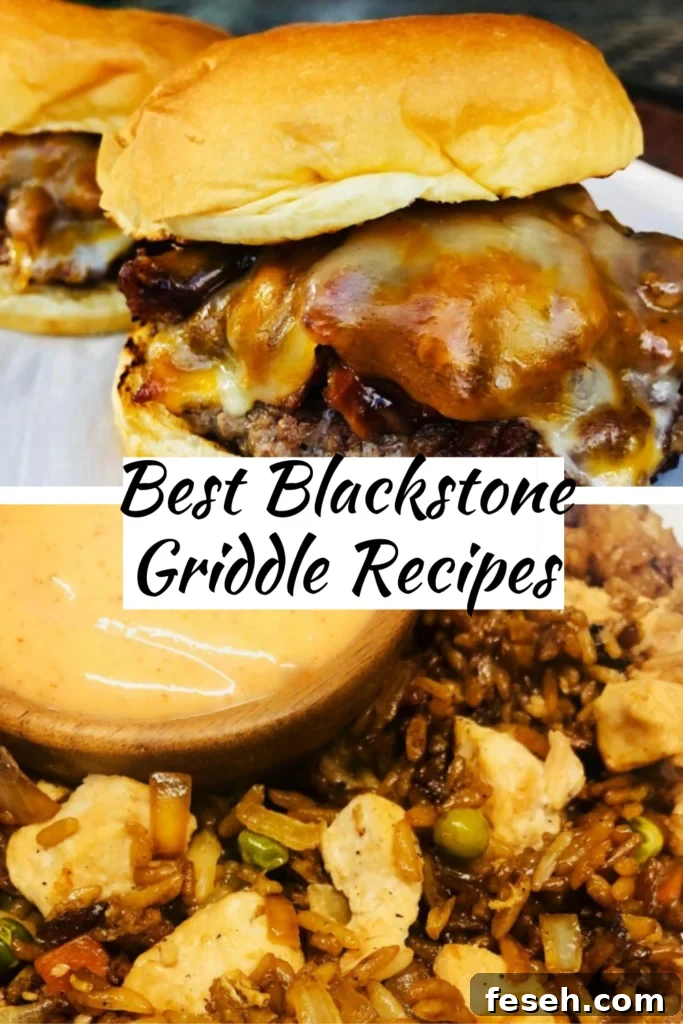 Best Blackstone Griddle Recipes