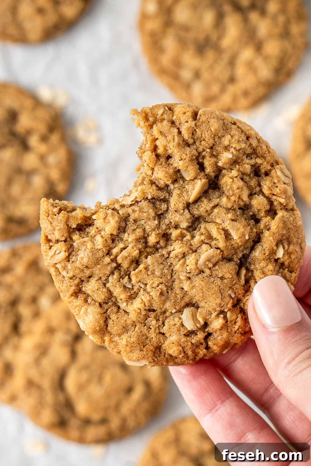 A hand holding an ANZAC biscuit with a bite taken.